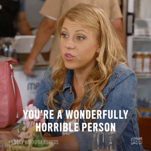 jodie sweetin insult GIF by Pop TV