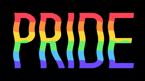 Image result for pride gif