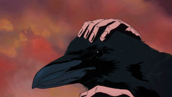 uno  GIF