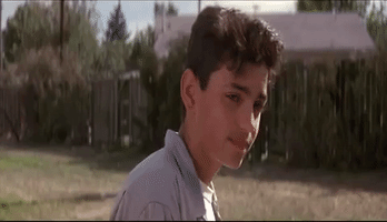 disappointed the sandlot GIF