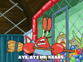 season 5 blackened sponge GIF by SpongeBob SquarePants