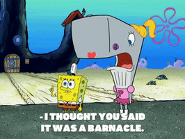 200.gif?cid=fc005b0877b8d049706689c4c6e0be6eef24437f4016a252&rid=200.gif&ct=g