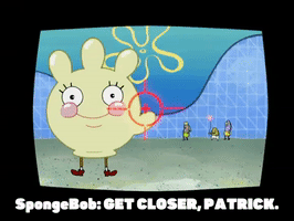 season 5 episode 6 GIF by SpongeBob SquarePants