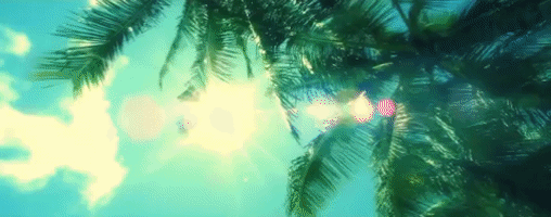 200.gif?cid=fc005b08075210447b7032406f2edaf2dbf19cfac0768380&rid=200.gif&ct=g