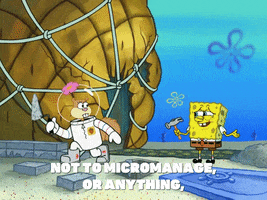 season 8 micromanagement GIF by SpongeBob SquarePants