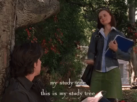 Season 4 Netflix GIF by Gilmore Girls - Find & Share on GIPHY