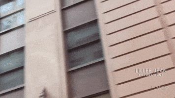 New York Fashion GIF by Lillee Jean