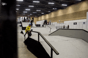 skate GIF by Shock