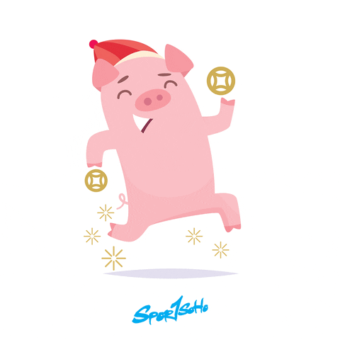 Happy Chinese New Year GIF by Sportsoho