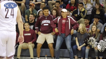 ncaa GIF by Southern Collegiate Athletic Conference