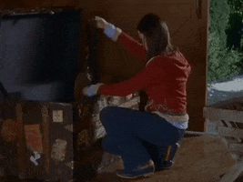 200.gif?cid=fc005b08daf8fb61ae03793c82f63bd717d9c5543d2df365&rid=200.gif&ct=g