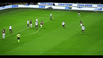 milan GIF by nss sports