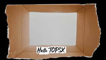 Choi Seung Hyun Top GIF