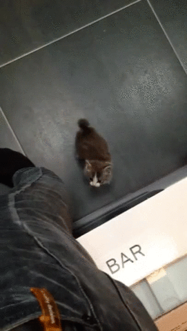 great climb GIF