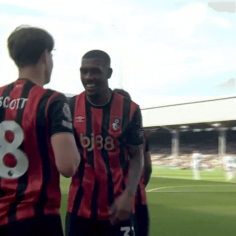 Premier League Dancing GIF by AFC Bournemouth