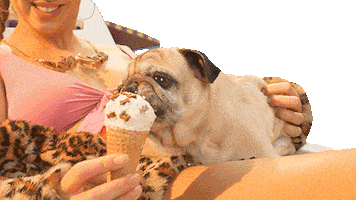 Dog Icecream Sticker by Restplatzboerse