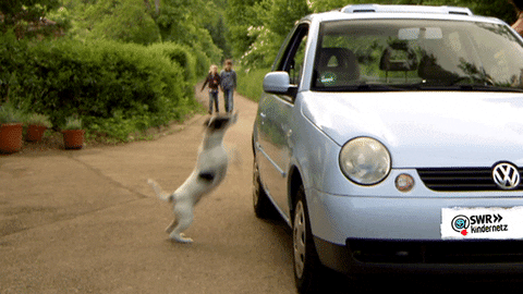 Jump In The Car Gifs Get The Best Gif On Giphy
