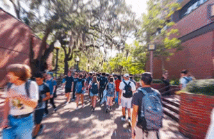 College Walking GIF by University of Florida