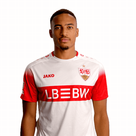 Dj Jako GIF by VfB Stuttgart 1893