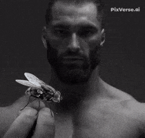 Legend Chad GIF by Gigachad