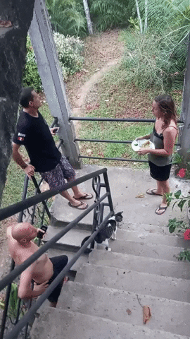 Arteduro GIF