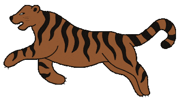 Orange Tiger Sticker by Oracle Soul