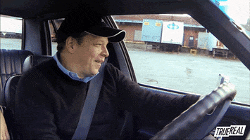 Comedy Driving GIF by TrueReal
