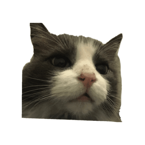 Sticker by Wüfkün Mascotas