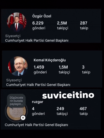 Erdogan Chp GIF