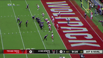 Touchdown GIF