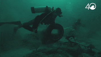 Environment GIF by 4ocean