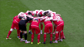 League Cup Final Team GIF by Cliftonville Football Club