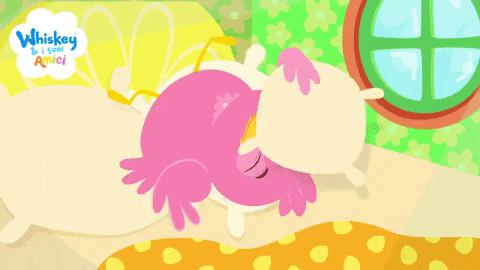 Giphy - Happy Get Up GIF by Coccole Sonore