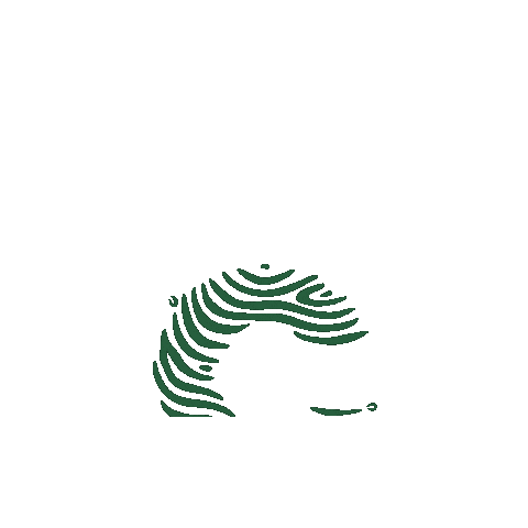 Cafe Sticker by COOPFAM