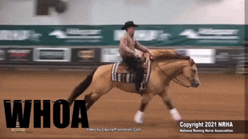 Nrha Reining GIF by Silver Spurs Equine