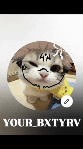 Cat Doston GIF