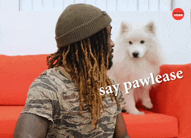 National Puppy Day GIF by BuzzFeed