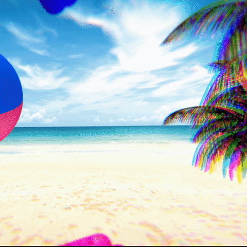 Beach Party GIF by Student Radio Association