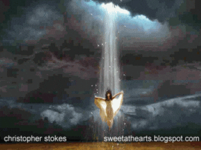 Fallen Angels GIFs - Find & Share on GIPHY