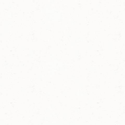 Cat Kitty GIF