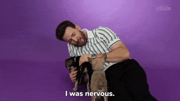 Nervous Chris Evans GIF by BuzzFeed