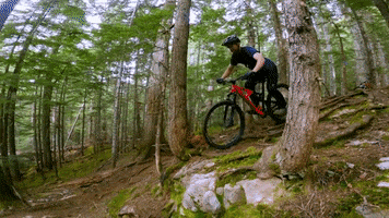 Mtb Reaction GIF by IFHT Films