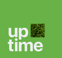 GIF by Uptime Marketing Agency