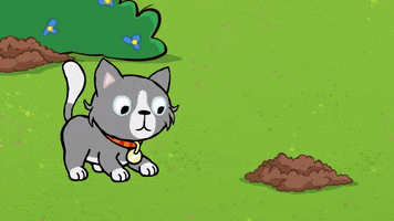 Cat GIF
