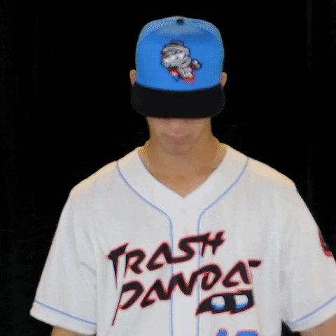 Southern League Baseball GIF by Rocket City Trash Pandas