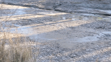 Lake Grading GIF by JC Property Professionals
