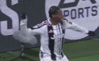 Stefer G GIF