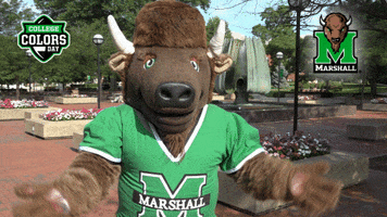 Sad College Sports GIF by College Colors Day