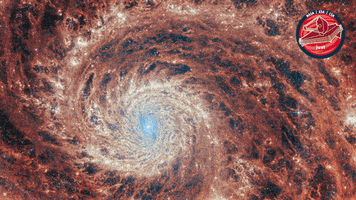 Watching James Webb GIF by ESA Webb Space Telescope