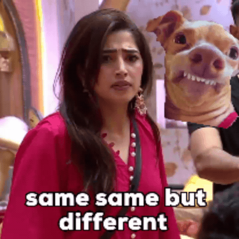 Same Same But Different Scout GIF
